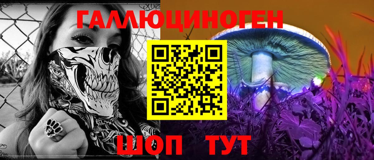 Псилоцибиновые грибы Cubensis Россия